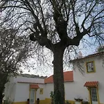 Quintal Do Freixo - Local Appartement