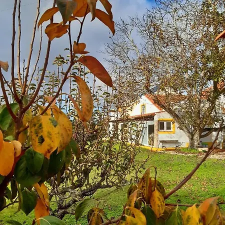 Quintal Do Freixo - * Sobral de Monte Agraço