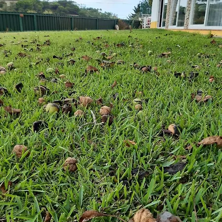 Apartman Quintal Do Freixo -