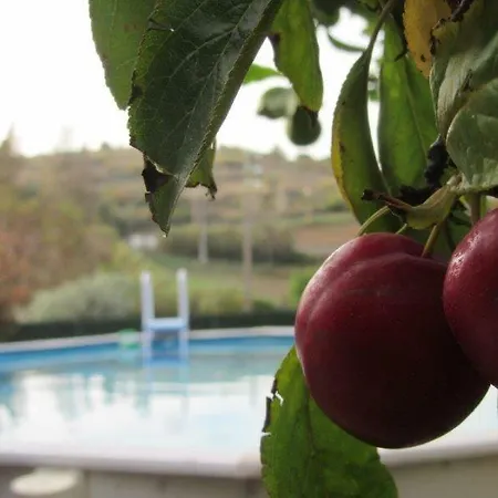 Quintal Do Freixo - Apartman