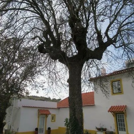 Quintal Do Freixo - Apartment