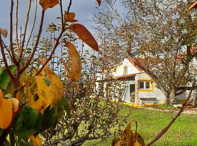 Quintal Do Freixo - * Sobral de Monte Agraço