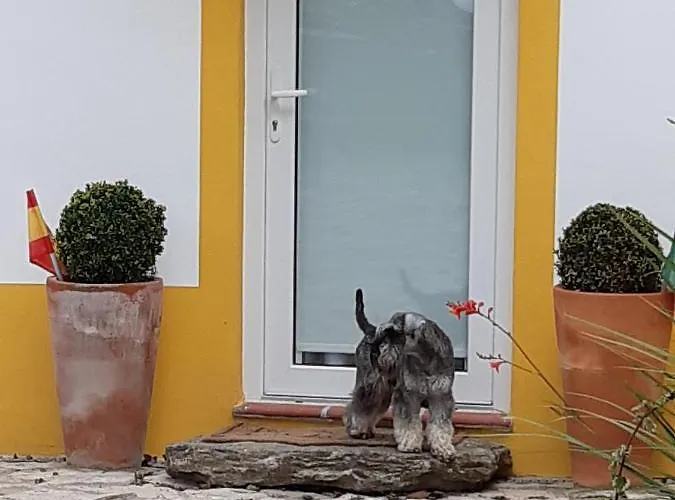 Quintal Do Freixo - Lägenhet *