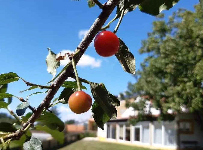 شقة Quintal Do Freixo -