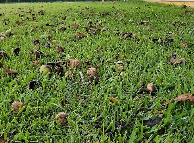 شقة Quintal Do Freixo -