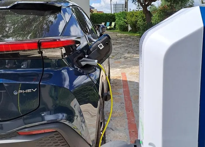 Quintal Do Freixo - *