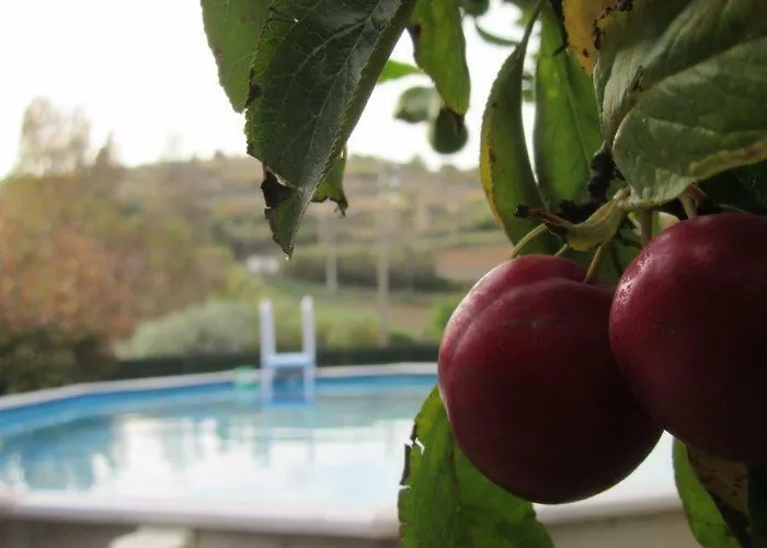 Quintal Do Freixo - شقة