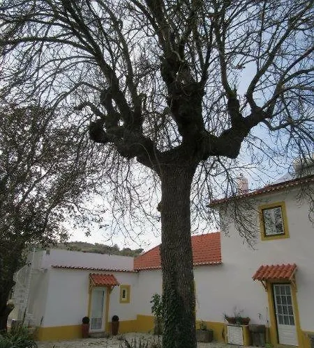 Quintal Do Freixo - Local Lejlighed
